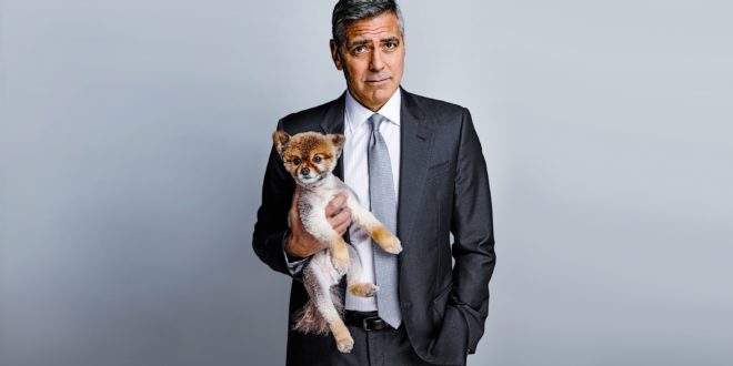 George Clooney