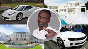 Akon's Wealth