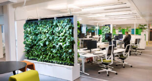 9 Tips for Creating Cleaner Air in Offices - Vital Move for Worker Wellbeing