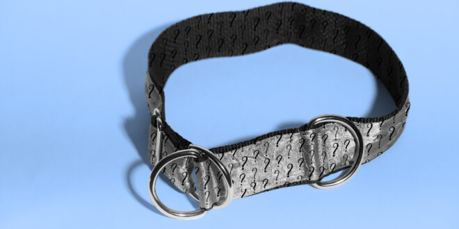 From Comfort to Style The Ultimate Guide to Finding the Perfect Dog Collar