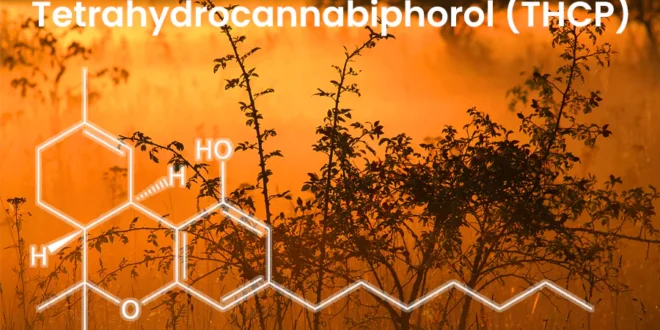 Tetrahydrocannabiphorol