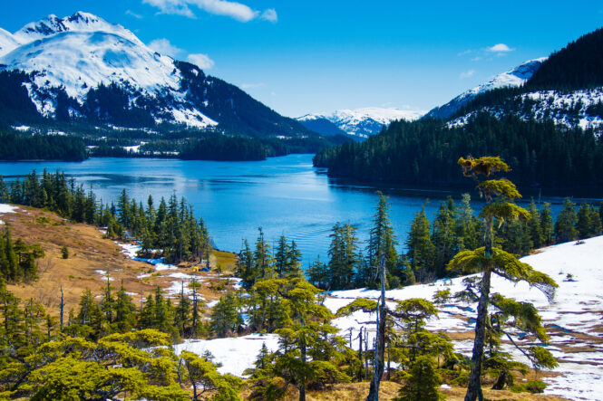 Spring in Alaska - Alaskan Cruise