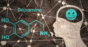 Addicted to a Dopamine Rush - In a Way, We All Are