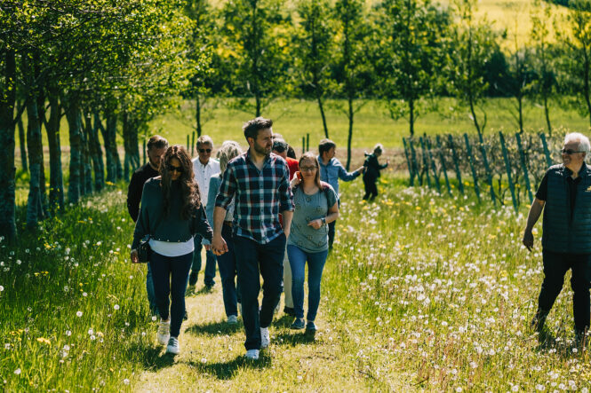 Vineyard Tours - bordeaux