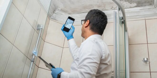 How Long Does a Mold Inspection Take