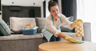 house cleaning tips