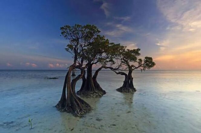 Sumba Island